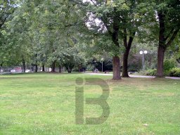 Blick in Richtung Ritterbrunen, 18. Juli 2004